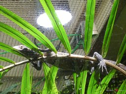 Tiergarten Schönbrunn am 23.03.2023